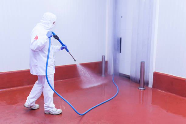 Professional Pressure Washing Services in Tyrone, GA